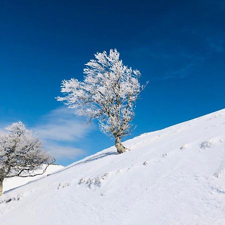 Gite Botiga Saint-Jean-le-Vieux  ภายนอก รูปภาพ