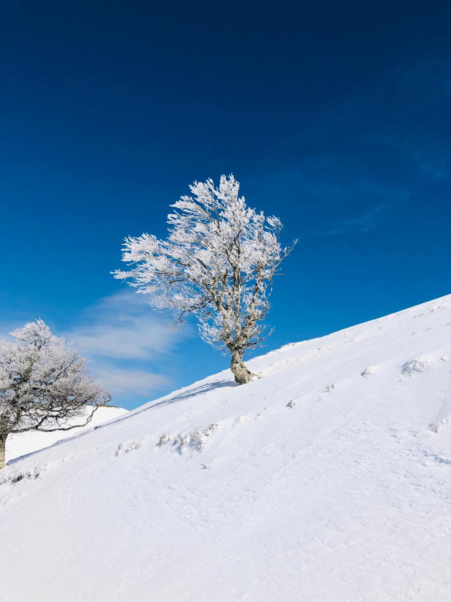 Gite Botiga Saint-Jean-le-Vieux  ภายนอก รูปภาพ